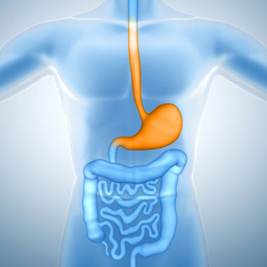 Gastroscopy